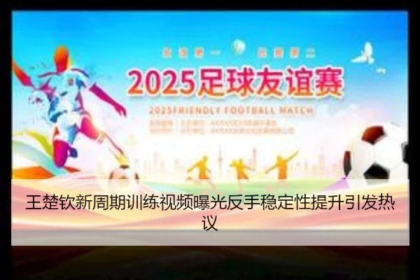 王楚钦新周期训练视频曝光反手稳定性提升引发热议